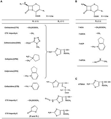 Neurobehavioral Effects of Cephalosporins: Assessment of Locomotors Activity, Motor and Sensory Development in Zebrafish